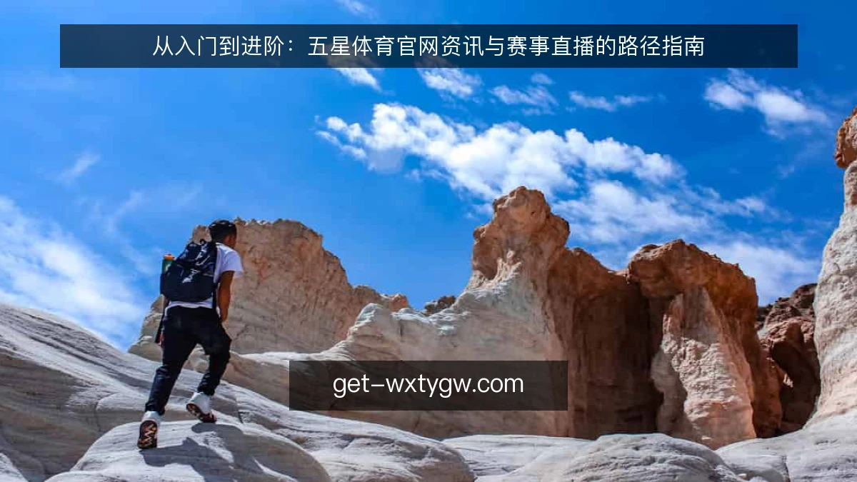 从入门到进阶：五星体育官网资讯与赛事直播的路径指南